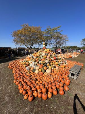 Jerry Smith Pumpkin Farm by null