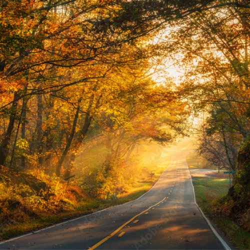 BACKROADS NOTARY SERVICES Updated May 2024 Conway, Arkansas