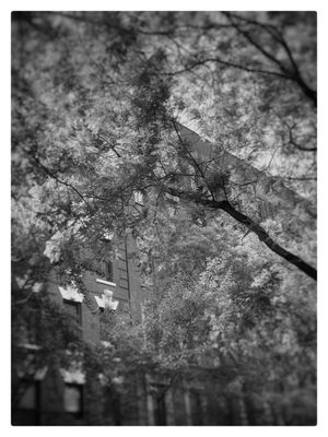 Gracie Mews Diner by null