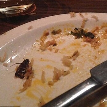 Biryani Pot - See! - Indian Near Me - San Antonio, Texas Biryani Pot - See! - Indian Near Me - San Antonio, Texas