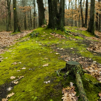Clay Pit Ponds - On the trail - Parks Near Me - Staten Island, New York