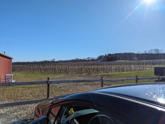 Apple Barrel Orchards and Cidery by null