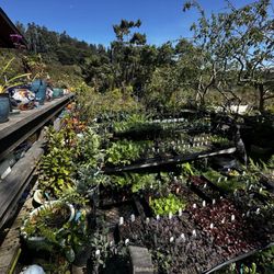 Mendocino Garden Shop