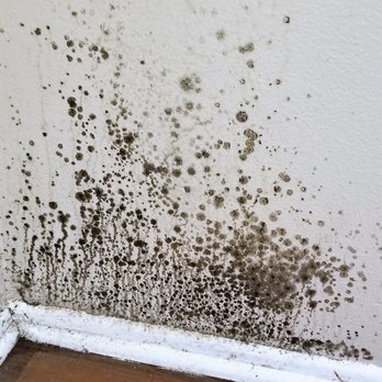 Mold Zero Services - Mold in the bedroom - Damage Restoration Near Me - San Marino, California