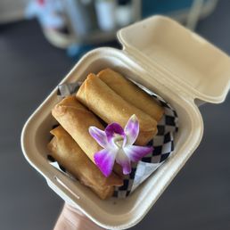 Veggie Springs Roll