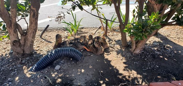 Casa de Fruta by null