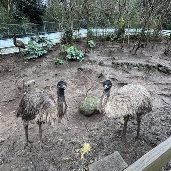 IZOO - Updated February 2026 - 35 Photos - 河津町浜406-2, 賀茂郡