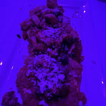 El Mas Chingon Bar & Grill - Mexican Near Me - Fort Pierce, Florida El Mas Chingon Bar & Grill - Mexican Near Me - Fort Pierce, Florida