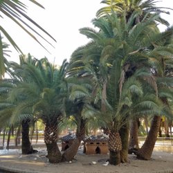 Jardines de la Victoria