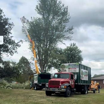 United Tree Services - We are professionals with over 20 years of experience - Tree Services Near Me - Indianapolis, Indiana United Tree Services - We are professionals with over 20 years of experience - Tree Services Near Me - Indianapolis, Indiana