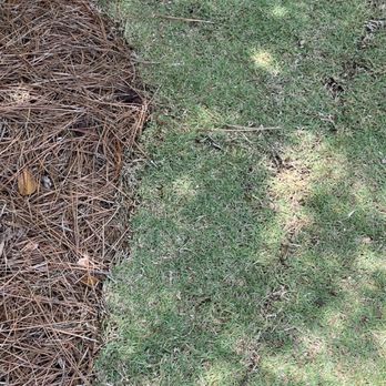 Morning Dew Landscapes - Horribly cut sod and edging. - Landscaping Near Me - Marietta, Georgia