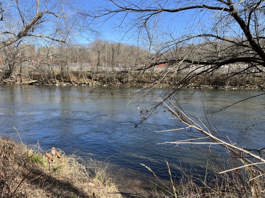 French Broad River Park by null