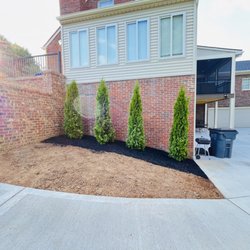 Pedro Ramirez Landscaping - Greener then ever!