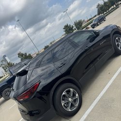 Anzaldua Window Tint