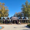 Twisted Colossus gift card