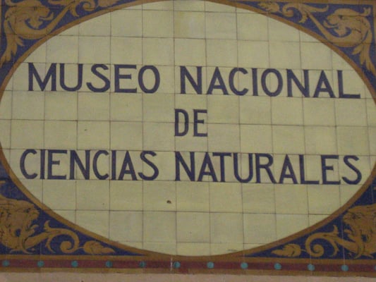Museo Nacional de Ciencias Naturales by null