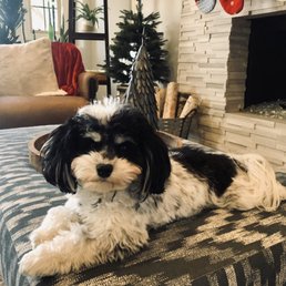 Layla