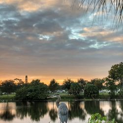Venice Area Audubon Society