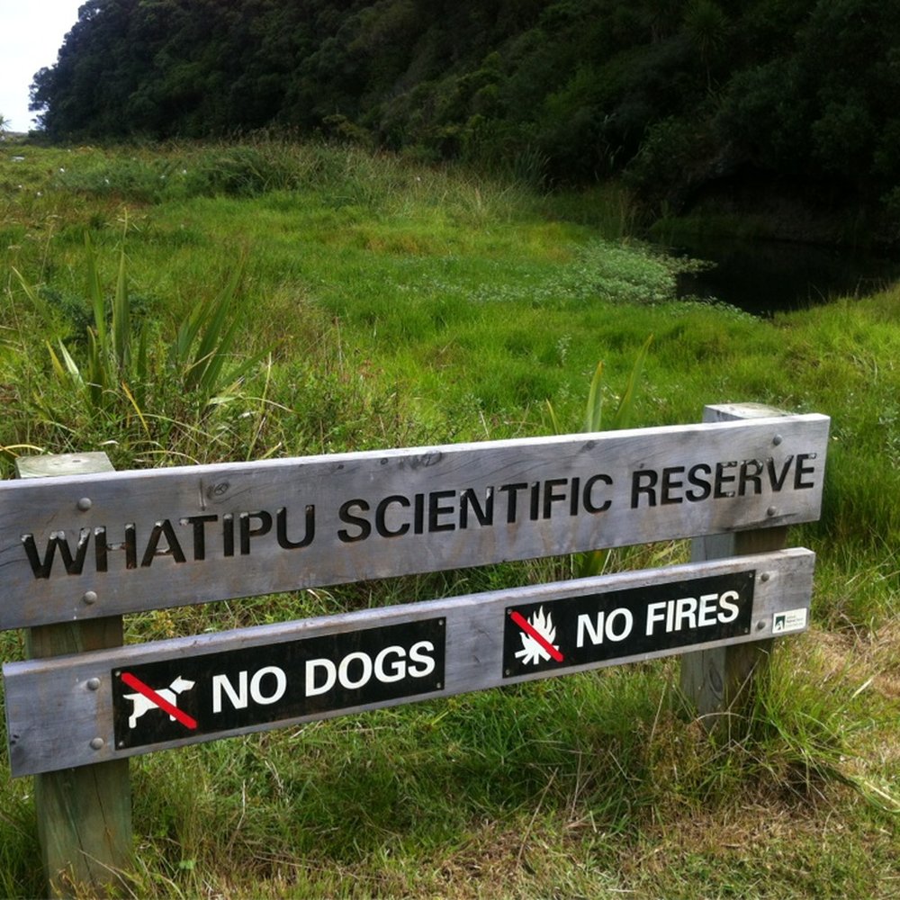 Whatipu Beach And Caves - Respect Whatipu reserve - Local Flavor Near Me - Auckland, AUK