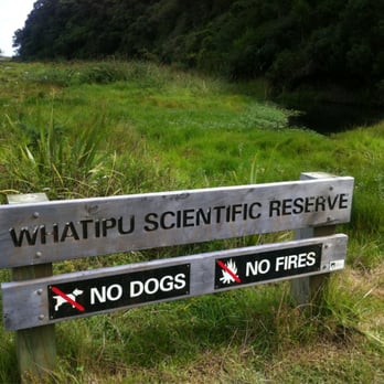 Whatipu Beach And Caves - Respect Whatipu reserve - Local Flavor Near Me - Auckland, AUK