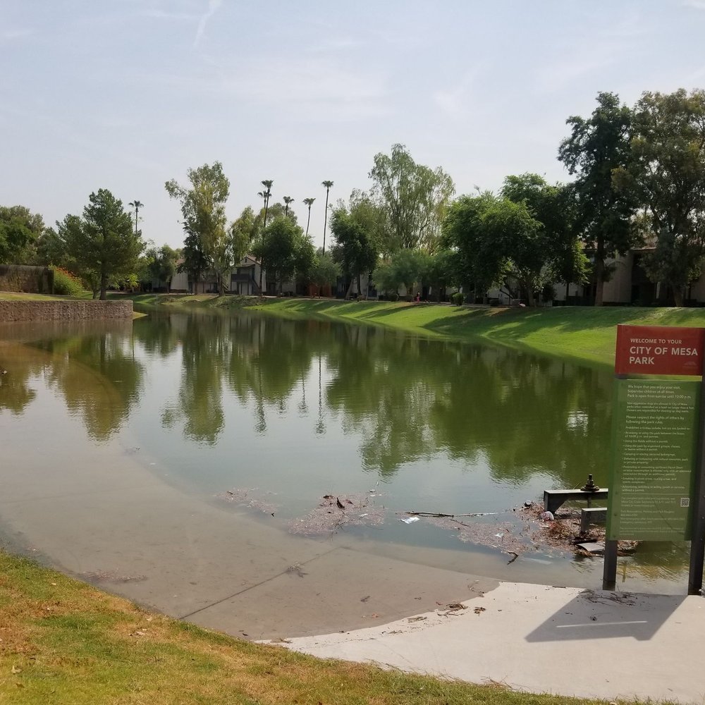 Dobson Ranch Park - Aug 8, 2018: the monsoon last night flooded the park - Parks Near Me - Mesa, Arizona