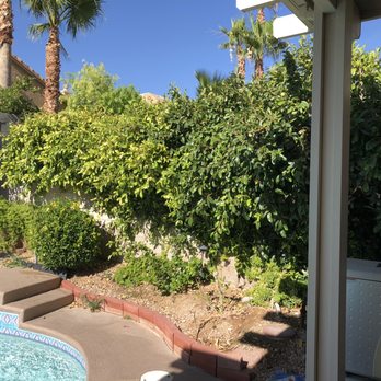 Mason's Landscape Maintenance - Bush overhang that I asked them to trim up but they didn't have the time. 3wks ago. - Landscaping Near Me - Las Vegas, Nevada Mason's Landscape Maintenance - Bush overhang that I asked them to trim up but they didn't have the time. 3wks ago. - Landscaping Near Me - Las Vegas, Nevada