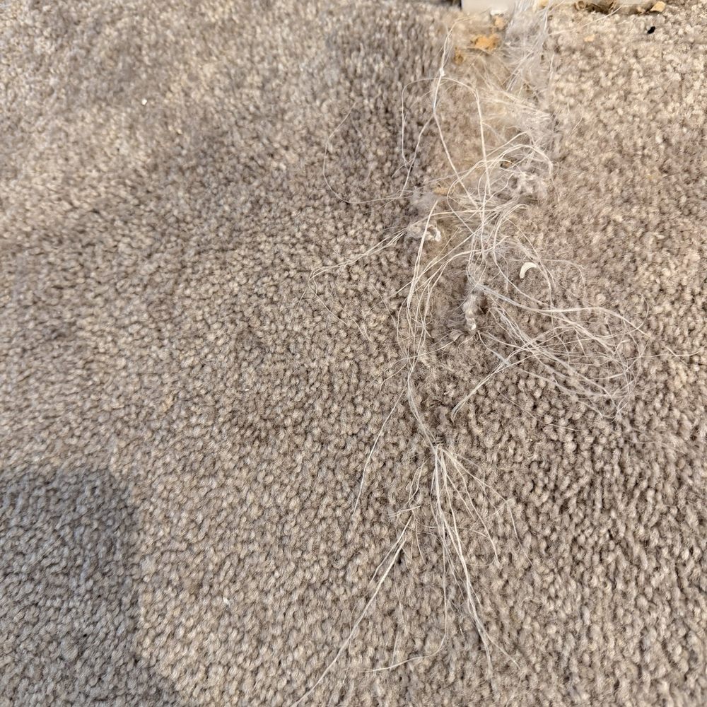 JJ Floor Covering - Before - Flooring Near Me - Richmond, Virginia JJ Floor Covering - Before - Flooring Near Me - Richmond, Virginia