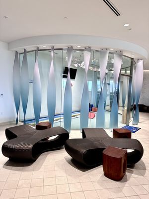 ANA suite lounge by null