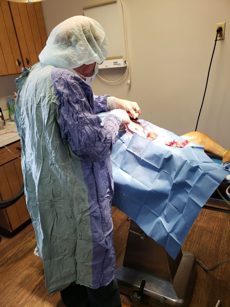 WESTWOOD VETERINARY HOSPITAL Updated September 2024 4123 W