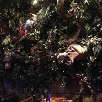 Rainforest Cafe - American Near Me - Edison, New Jersey Rainforest Cafe - American Near Me - Edison, New Jersey