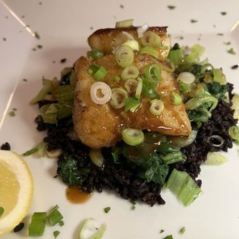 Nola - Sea bass with miso glaze - Italian Near Me - Seaford, New York