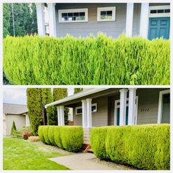 Four Season Landscape & Irrigation