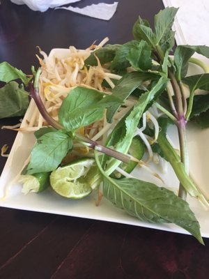 Pho 544 by null