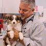 Photo of Winter Animal Hospital