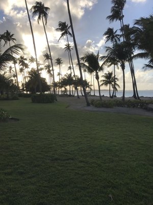 Melia Coco Beach by null