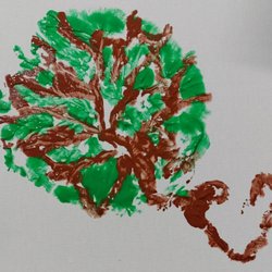 Bay Area Placenta Services