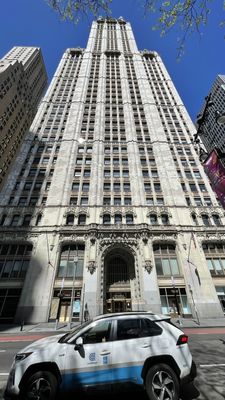 The Woolworth Building by null