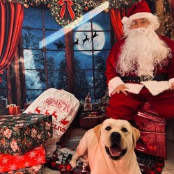 K9 Nanni Dog Boarding & Daycare