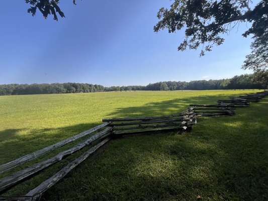 Shiloh National Military Park by null