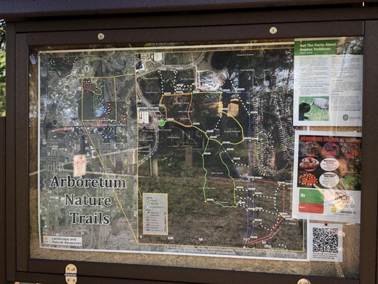 UCF Arboretum by null