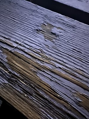 Shoshone Trailer RV Park by null