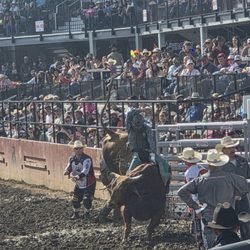 Ellensburg Rodeo Grounds - Bull riding
