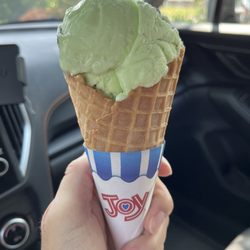 Flint Farm - Kiddie size in a waffle cone: Mint Patty Yogurt, $5.50