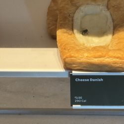 Starbucks - Fly on food!