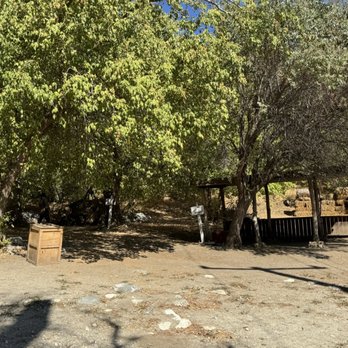 Riley's Apple Farm - Pick Your Own Farms Near Me - Yucaipa, California
