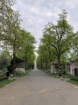 Brompton Cemetery by null