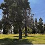 Photo of San Jacinto Valley Cemetery Dist