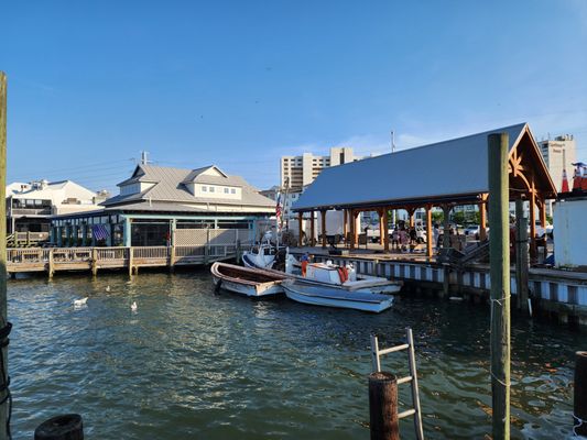 Dockside Seafood & Fishing Center by null