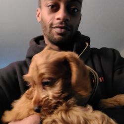 Northeast Ohio Dog Training