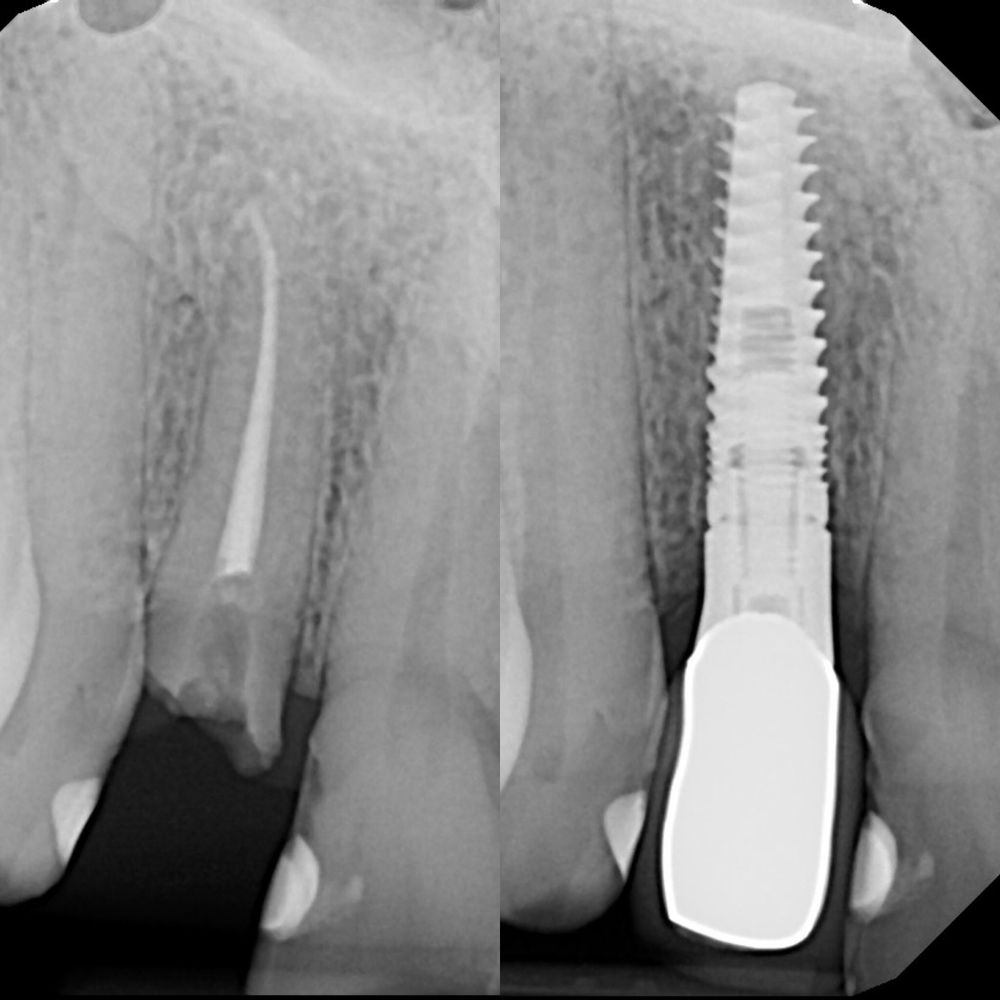 ADDISON FAMILY DENTISTRY Updated August 2024 16 Photos 3744 Belt